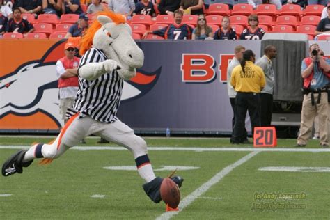 Denver Broncos Mascot's Coma Prompts Call for Increased Mascot Training